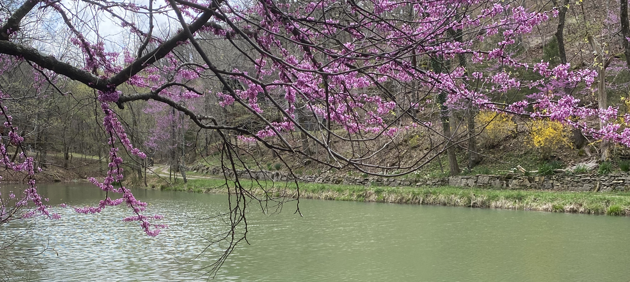 Little Lake Eureka in Oddball Hollow
